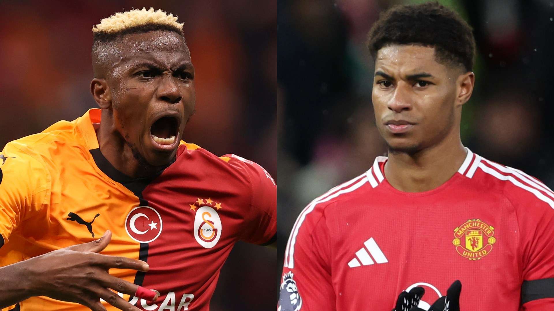 专业知识 专业知识